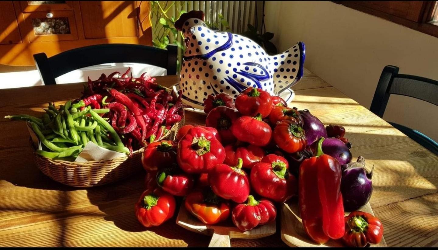 Il Giardino Di Frafa Quartu SantʼElena Exterior foto
