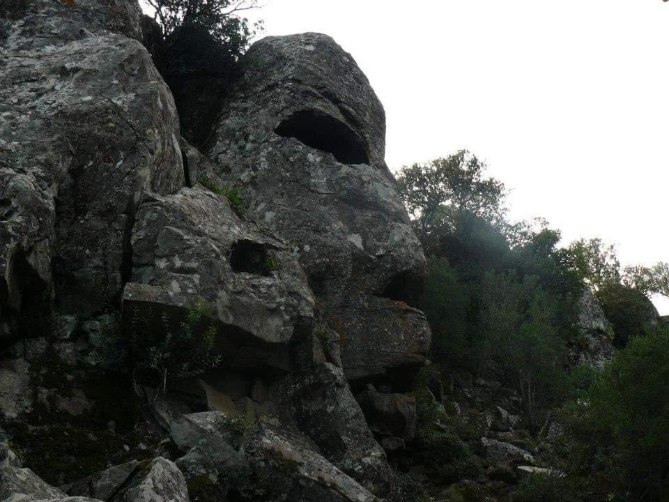 Il Giardino Di Frafa Quartu SantʼElena Exterior foto